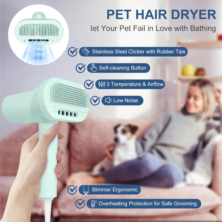 2 - in 1 Overheating Protection Low Noise Dryer for Small Dogs - Pawtique