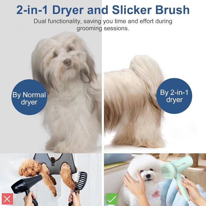 2 - in 1 Overheating Protection Low Noise Dryer for Small Dogs - Pawtique