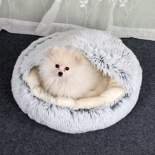 2 - in1 Pet Bed - Pawtique