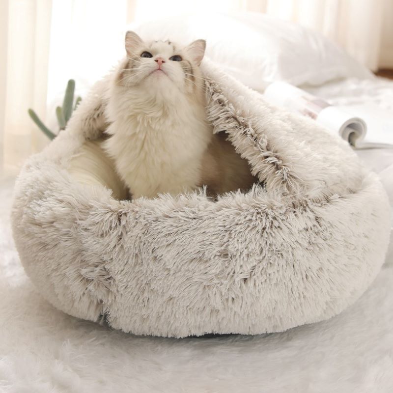 2 - in1 Pet Bed - Pawtique