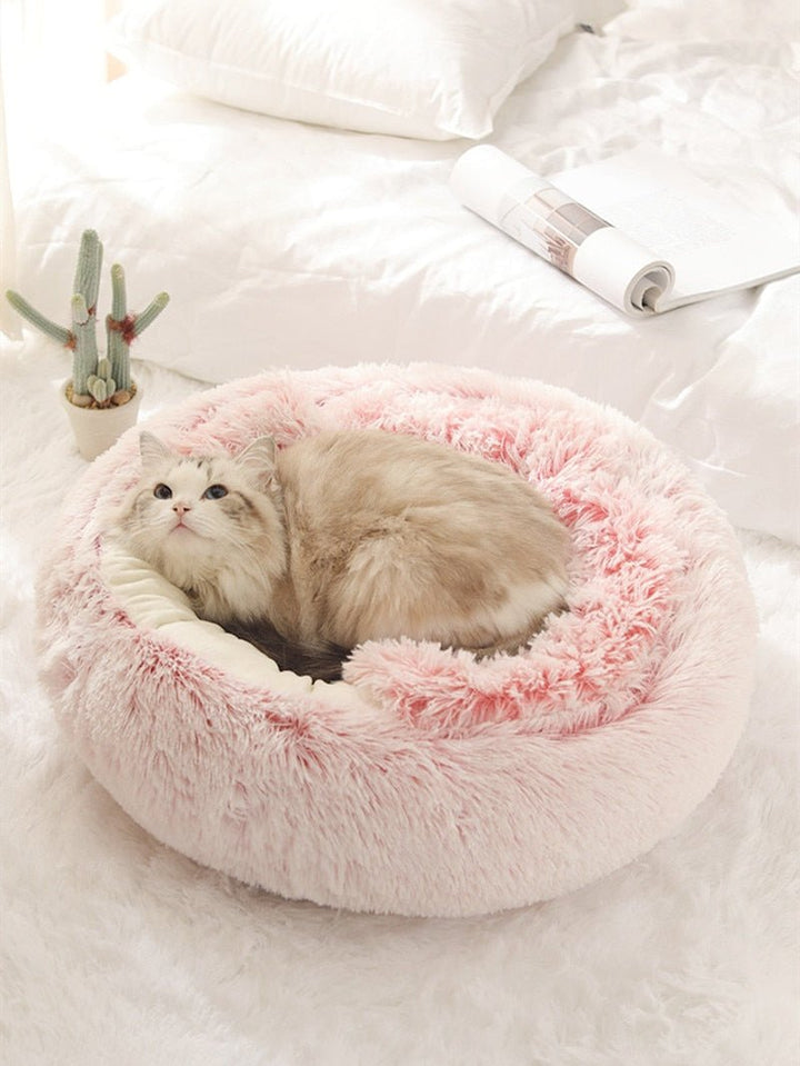 2 - in1 Pet Bed - Pawtique