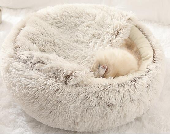 2 - in1 Pet Bed - Pawtique