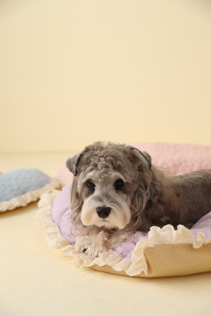 Cozy Love-Shaped Dog Pad