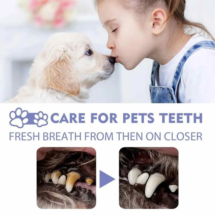 50ml Pet Oral Cleanse Spray Dogs Mouth Fresh Teeth Clean Deodorant Prevent - Pawtique