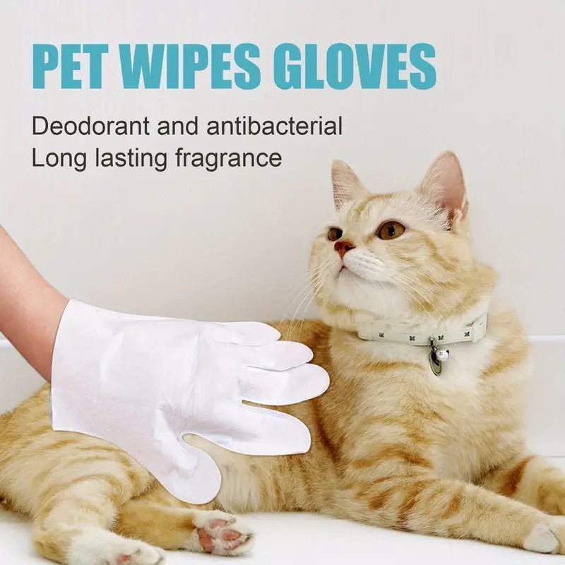 6pcs/30pcs Pet Disposable Cleaning Gloves, Non - Woven Dog Wash Free Wipes Cleaning Massage Gloves - Pawtique