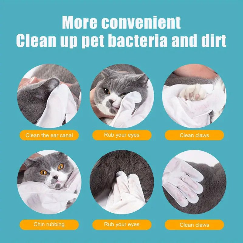 6pcs/30pcs Pet Disposable Cleaning Gloves, Non - Woven Dog Wash Free Wipes Cleaning Massage Gloves - Pawtique