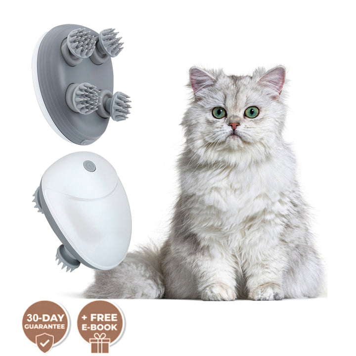 [BEST SELLER] Mini Electric Pet Massager - Pawtique