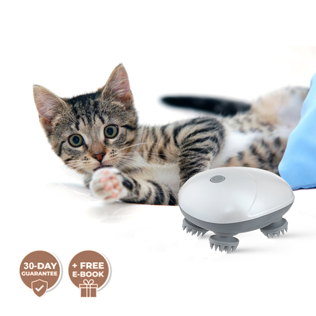 [BEST SELLER] Mini Electric Pet Massager - Pawtique