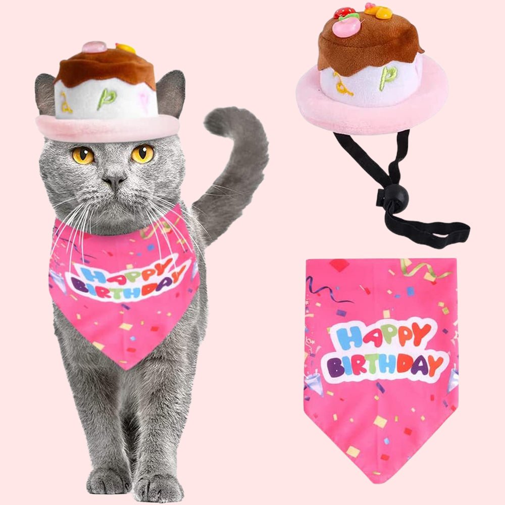 Candy Colored Pet Birthday Dress Up Set - Pawtique