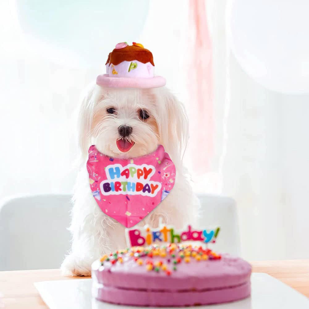 Candy Colored Pet Birthday Dress Up Set - Pawtique