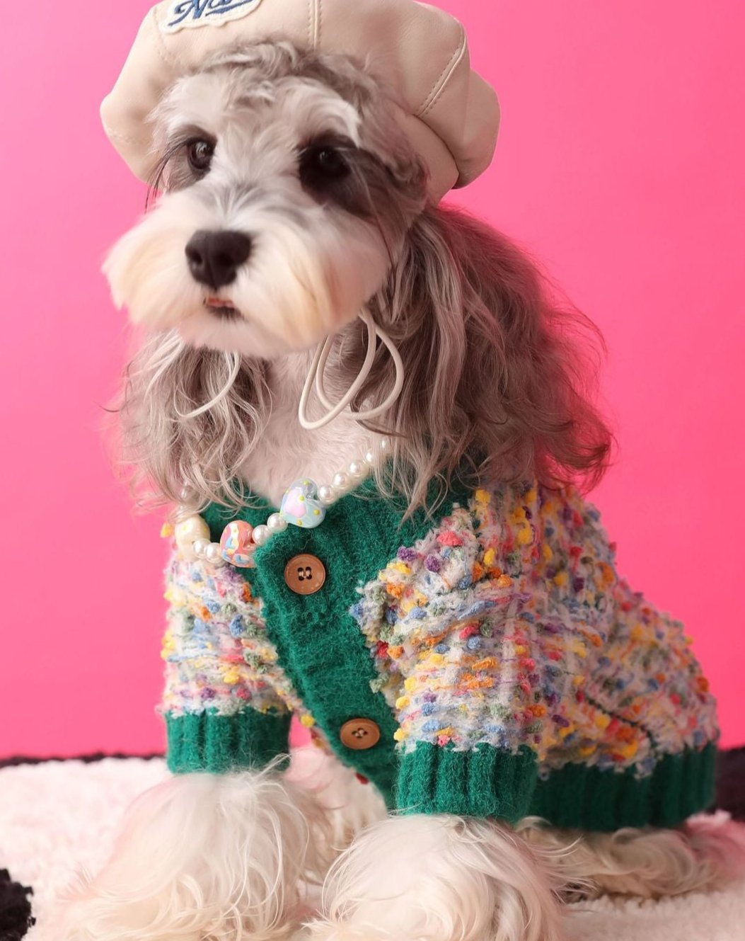 Colorful Dotted Cardigan - Pawtique