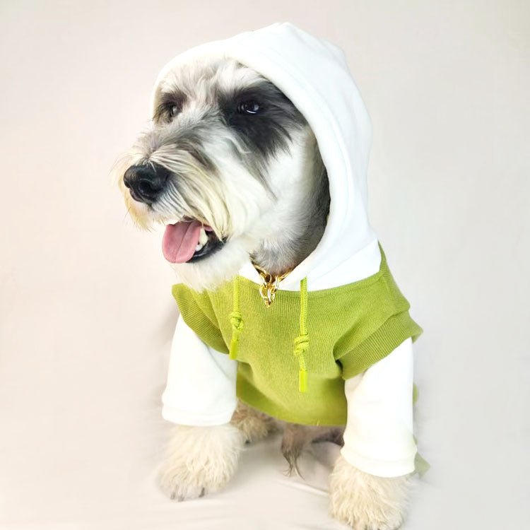 cool boy hoodie - Pawtique