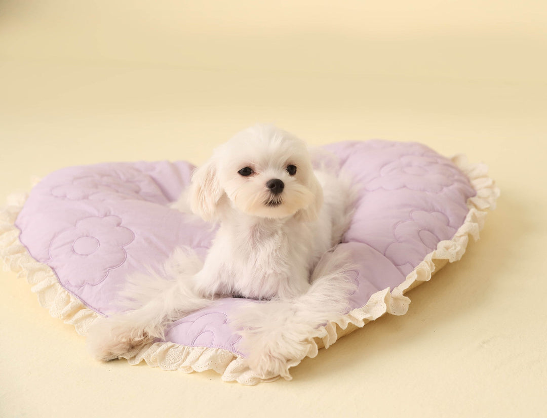 Cozy Love - Shaped Dog Pad - Autumn/Winter Edition | Quilted, Non - Slip, All - Season Comfort for Cats and Dogs - Pawtique