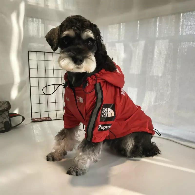 Dog outdoor waterproof Stormproof Jacket supreme - Pawtique