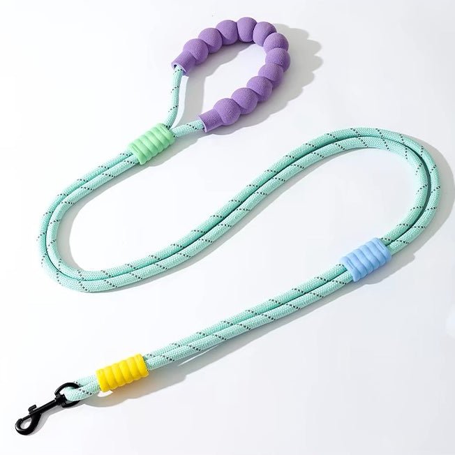 Explosion Proof Punch Cloud Bubble Dog Leash - Pawtique