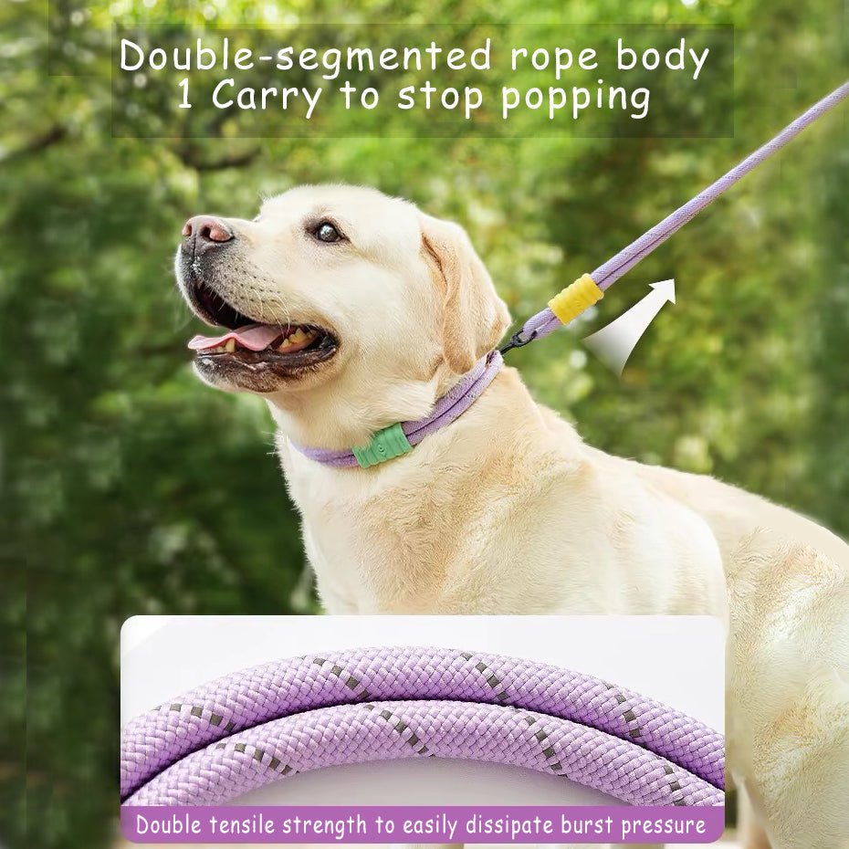 Explosion Proof Punch Cloud Bubble Dog Leash - Pawtique