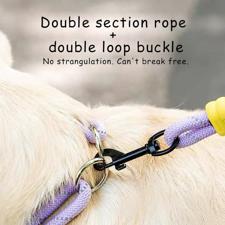 Explosion Proof Punch Cloud Bubble Dog Leash - Pawtique