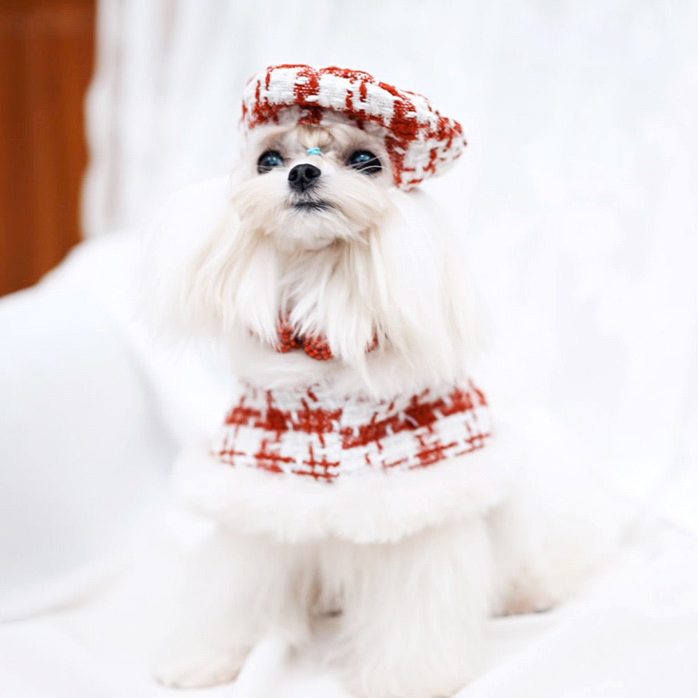 Furry Dog Cape Harness with Leash&Hat - Pawtique