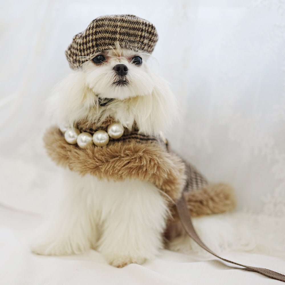 Furry Dog Cape Harness with Leash&Hat - Pawtique