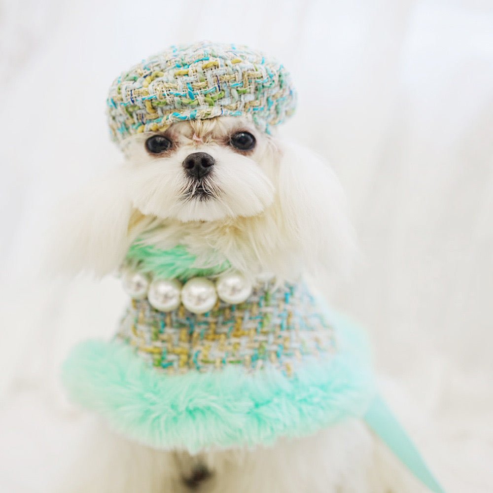 Furry Dog Cape Harness with Leash&Hat - Pawtique