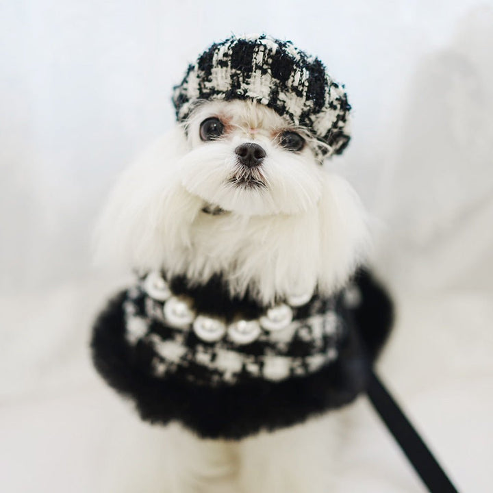 Furry Dog Cape Harness with Leash&Hat - Pawtique