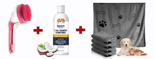 Grooming Brush with Built - In Soap Dispenser - Pawtique