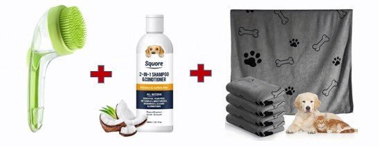 Grooming Brush with Built - In Soap Dispenser - Pawtique