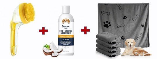 Grooming Brush with Built - In Soap Dispenser - Pawtique