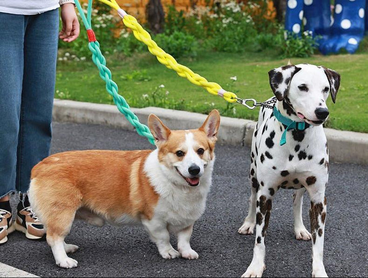 Handmade Twisted Braided Dog Leash - Pawtique