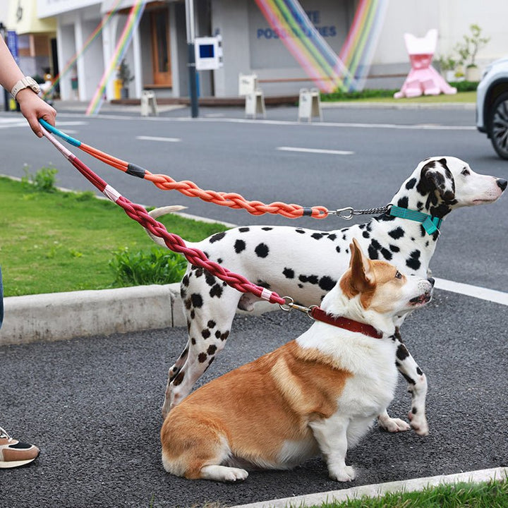 Handmade Twisted Braided Dog Leash - Pawtique