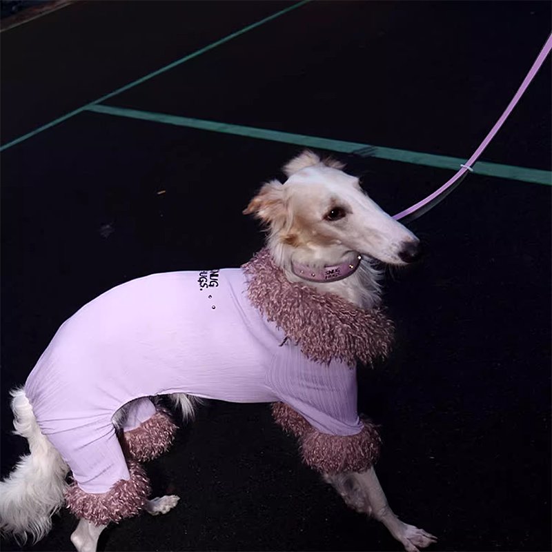 Long Hair Collar Lace Dog Shirt - Pawtique