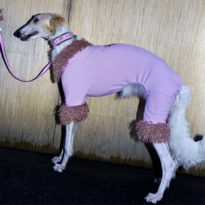 Long Hair Collar Lace Dog Shirt - Pawtique