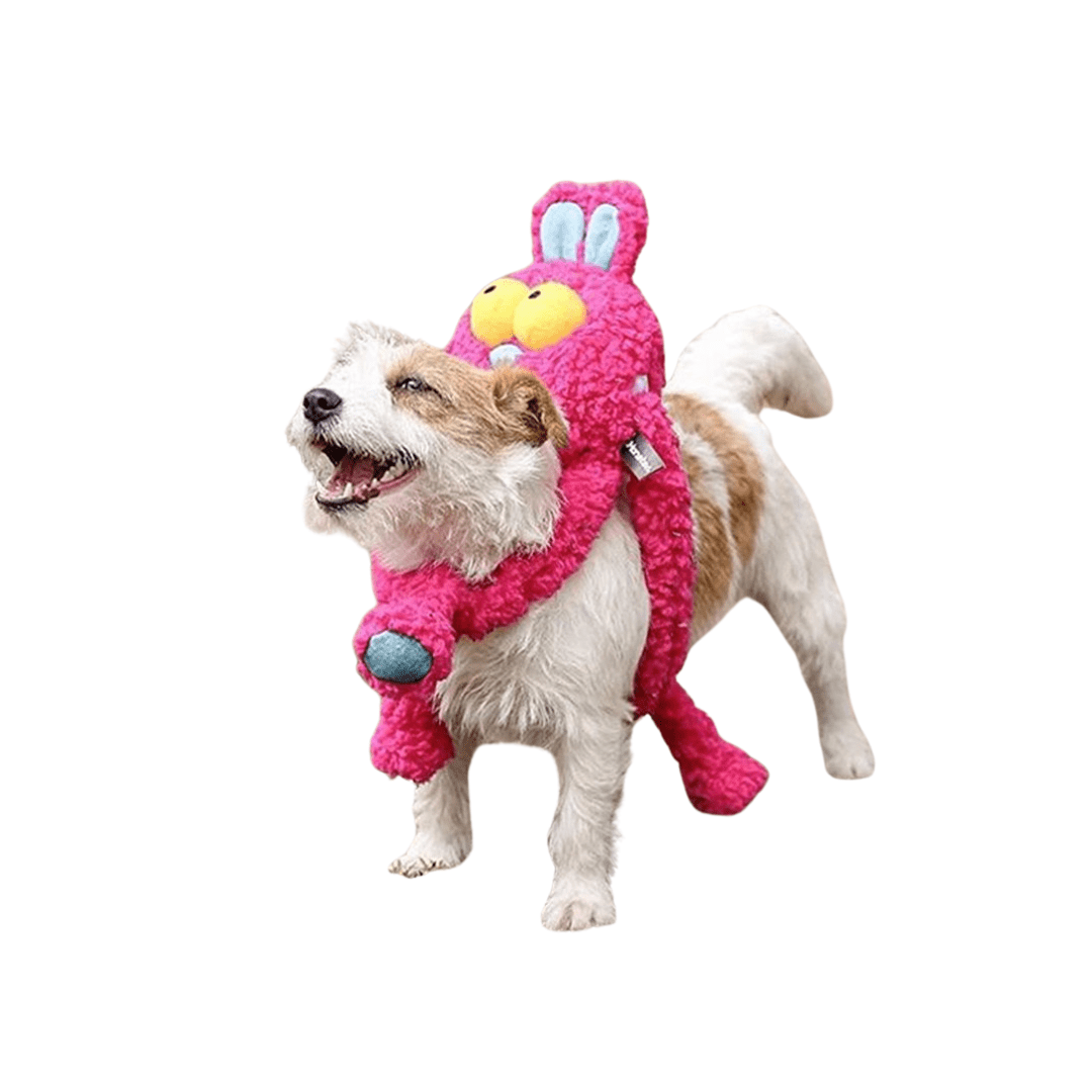 Long Hare Dog Rope Tug Toy - Pawtique