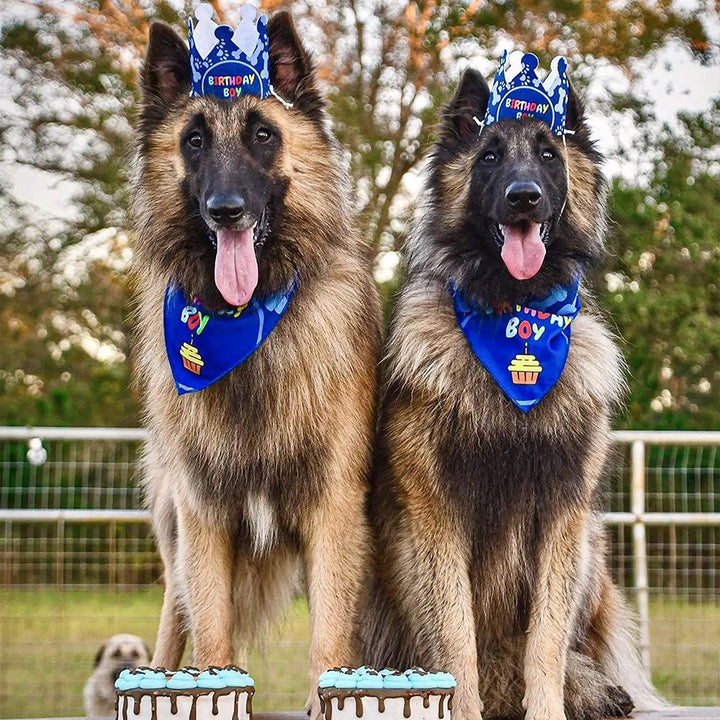 Pet Birthday Party Decoration Hanging Banner Hat Cap Headgear Neckerchief Bib - Pawtique