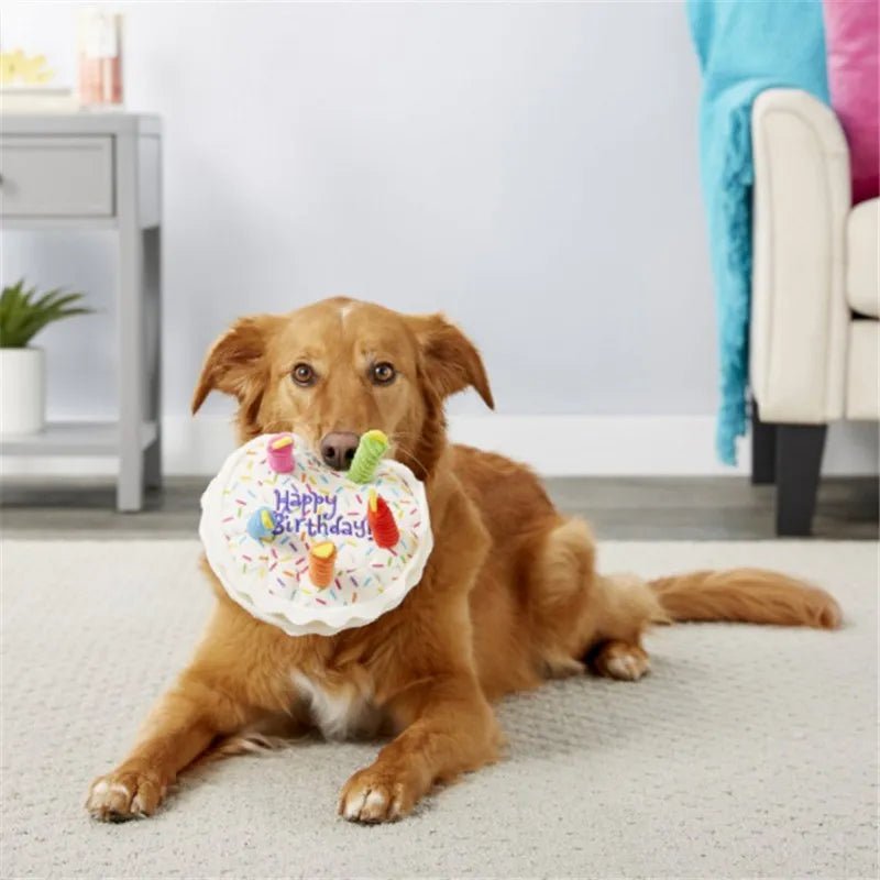 Pet Dog Toy Cute Birthday Cake Squeaky Toys Bite Resistant Bone Shape Stuffed Toy Cat Puppy Chew Toy Interactive Dog Accessories - Pawtique