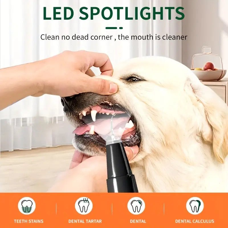 Pet Teeth Cleaning Kit With LED Light For Dogs, 5 Modes For Teeth Care To Remove Stains Calculus, Dog Toothbrush Plaque And Tartar Remover - Pawtique