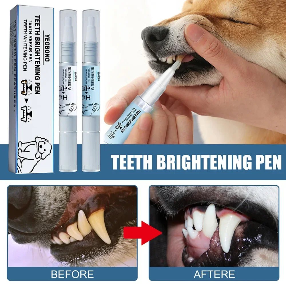 Pet Teeth Cleaning Tools Tartar Remover Tartar Scraper dog Dental Stain Pen - Pawtique