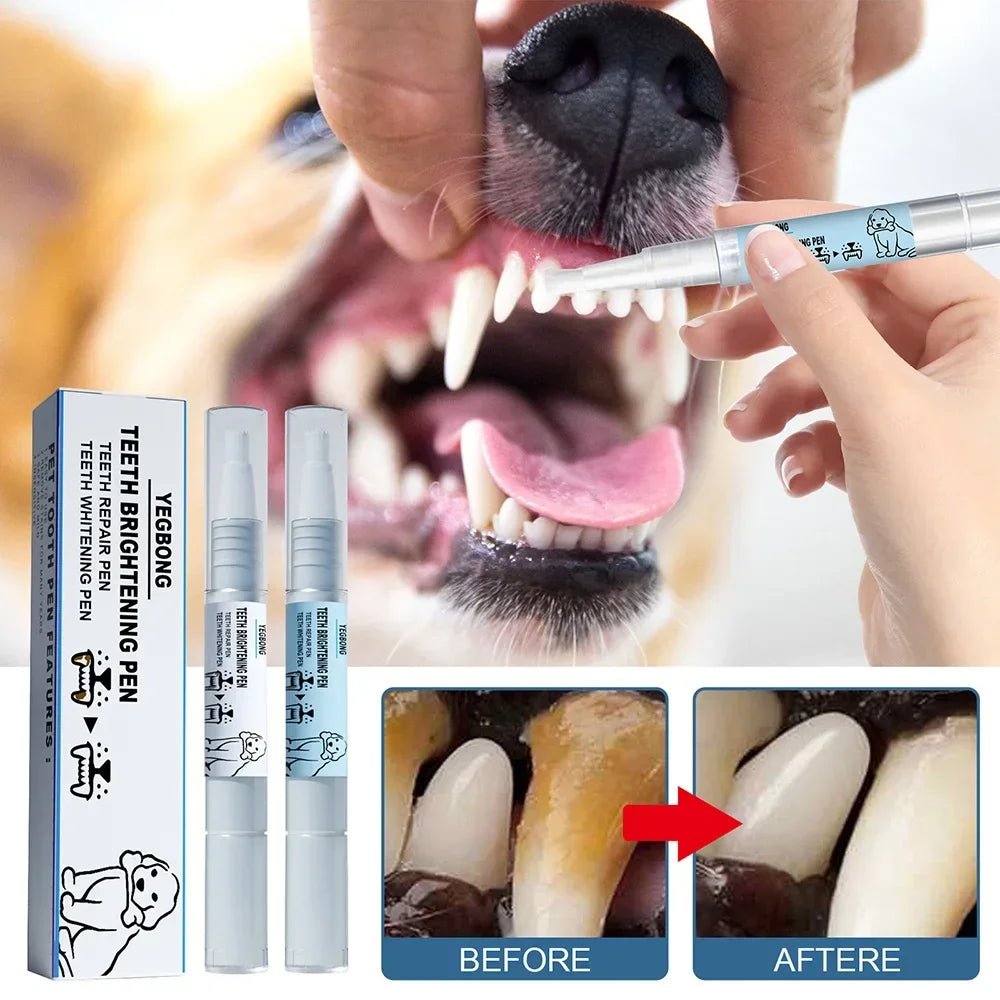 Pet Teeth Cleaning Tools Tartar Remover Tartar Scraper dog Dental Stain Pen - Pawtique