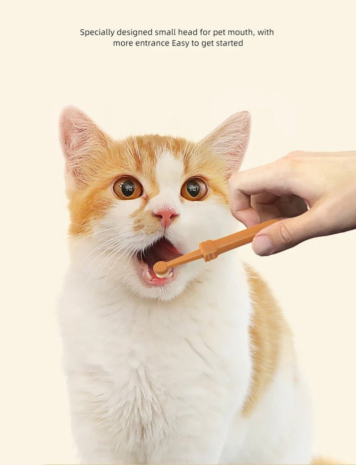 Pet Toothbrush - Pawtique