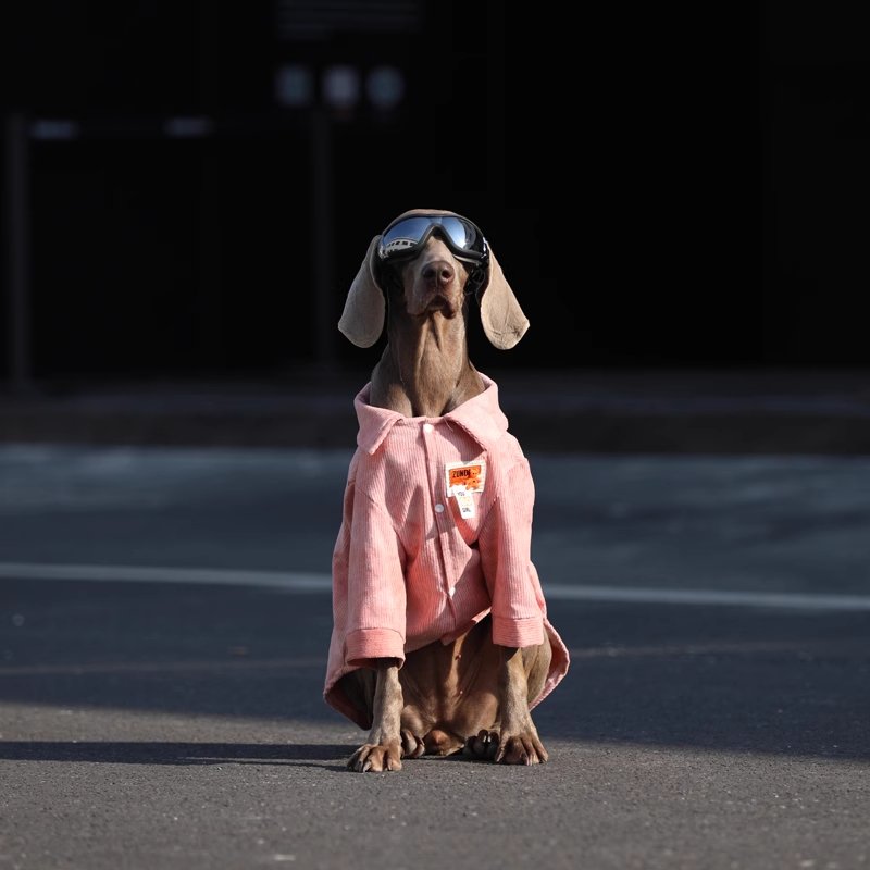 Pink Corduroy Shirt - Pawtique