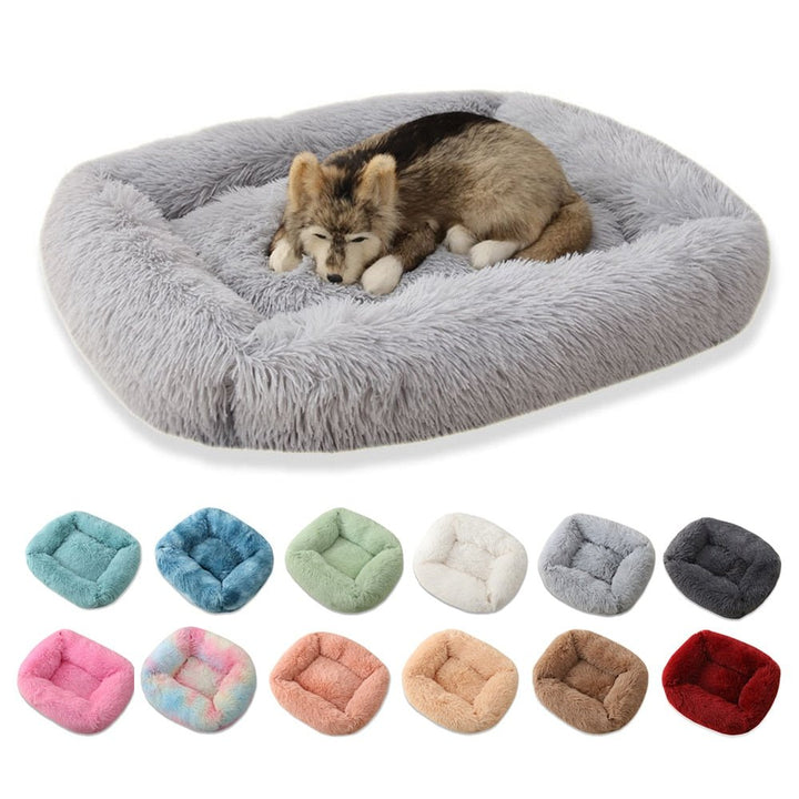 Plush Pet Bed - Pawtique