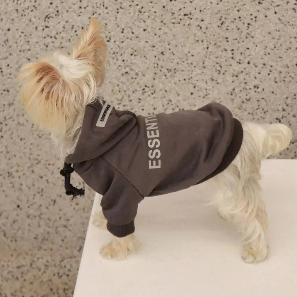 Polyester Plush Thickened Hoodie - Pawtique