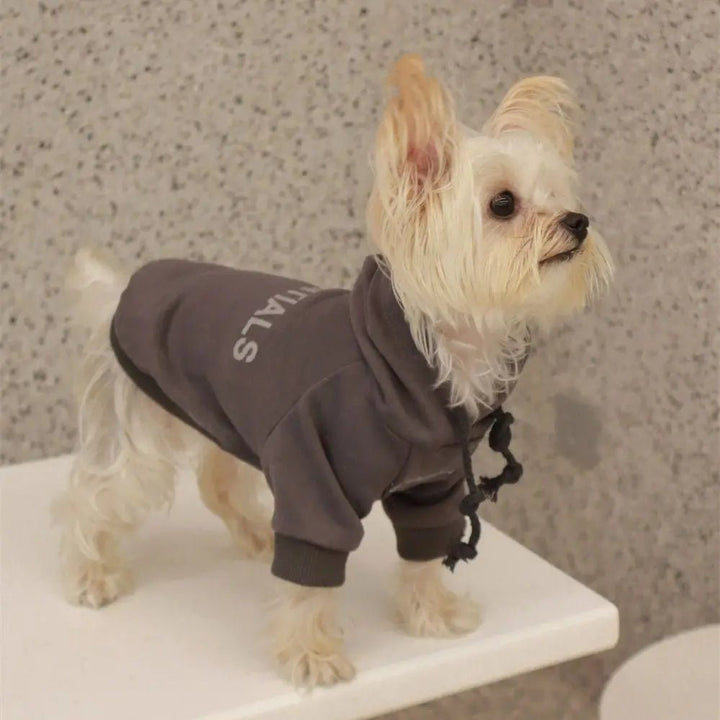 Polyester Plush Thickened Hoodie - Pawtique