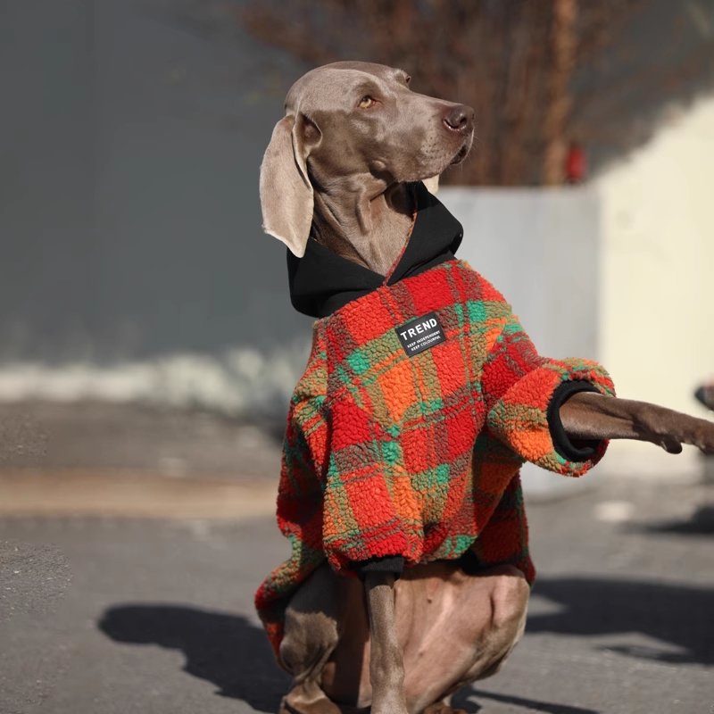 Red and Green Corduroy Dog Sweatshirt - Pawtique