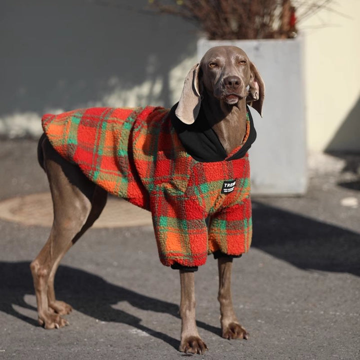 Red and Green Corduroy Dog Sweatshirt - Pawtique