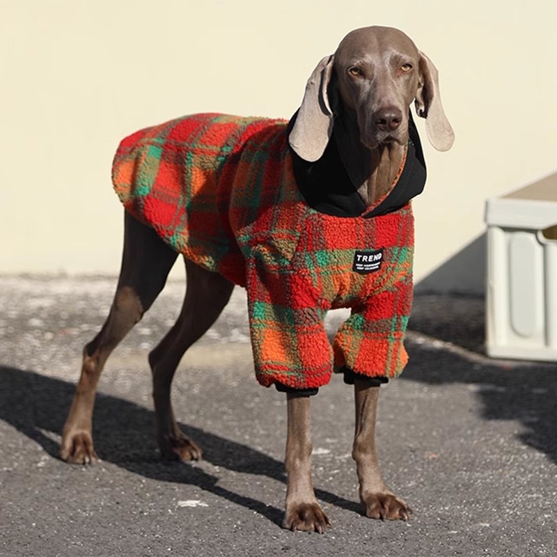 Red and Green Corduroy Dog Sweatshirt - Pawtique