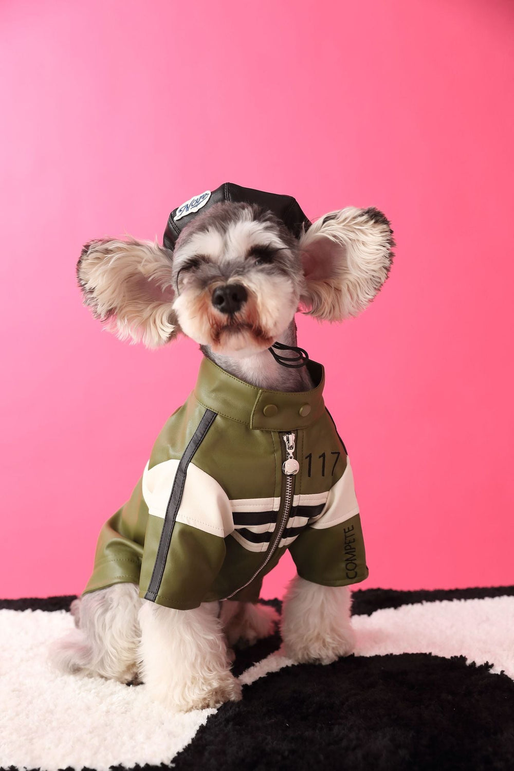 Stylish Striped Embroidery Leather Jacket - Pawtique