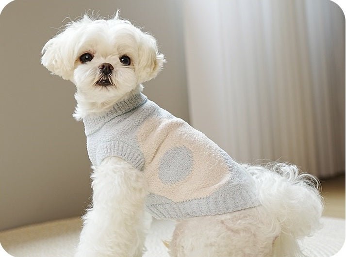 Super Stretchy and Cozy Sweater - Pawtique