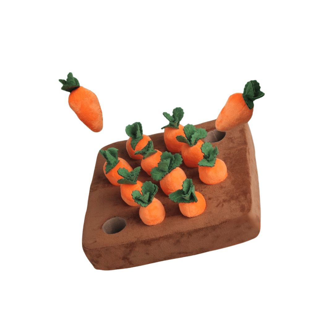 Ultra - soft Carrot Best Plush Toys - Pawtique