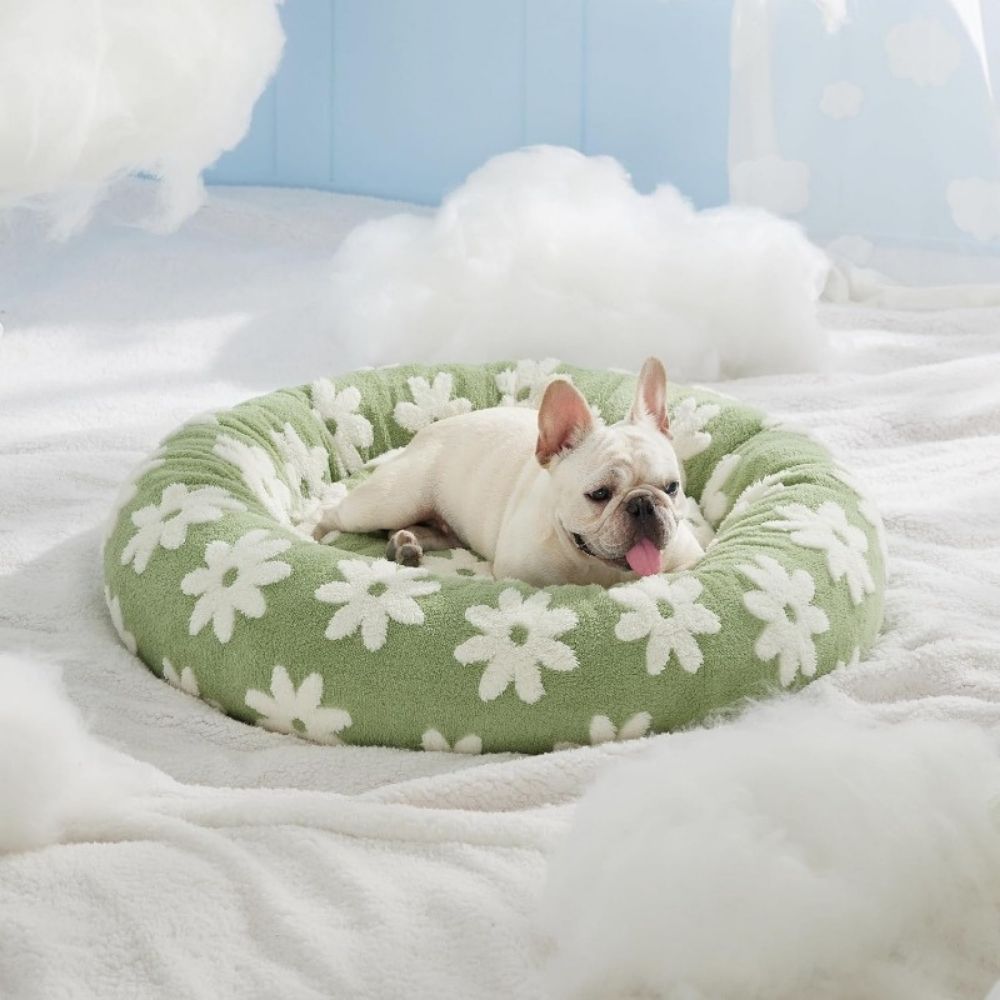 Vintage Round Dog Bed Cushion - Pawtique